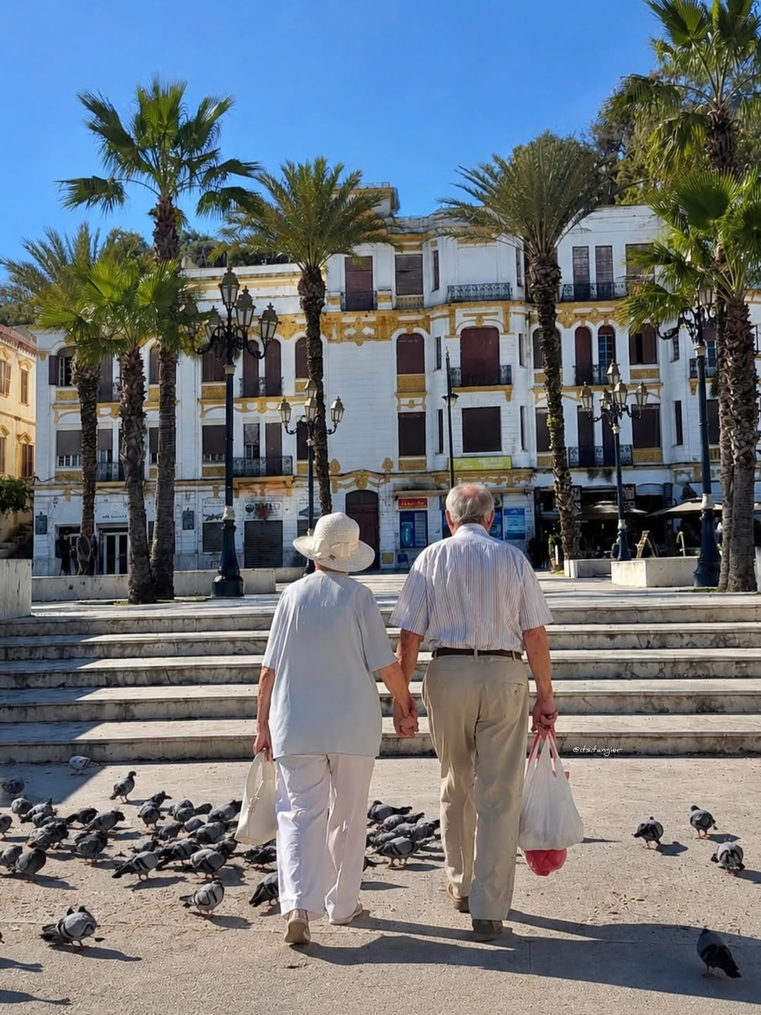 Tangier — grand socco couple pigeons Tangier — grand socco couple pigeons