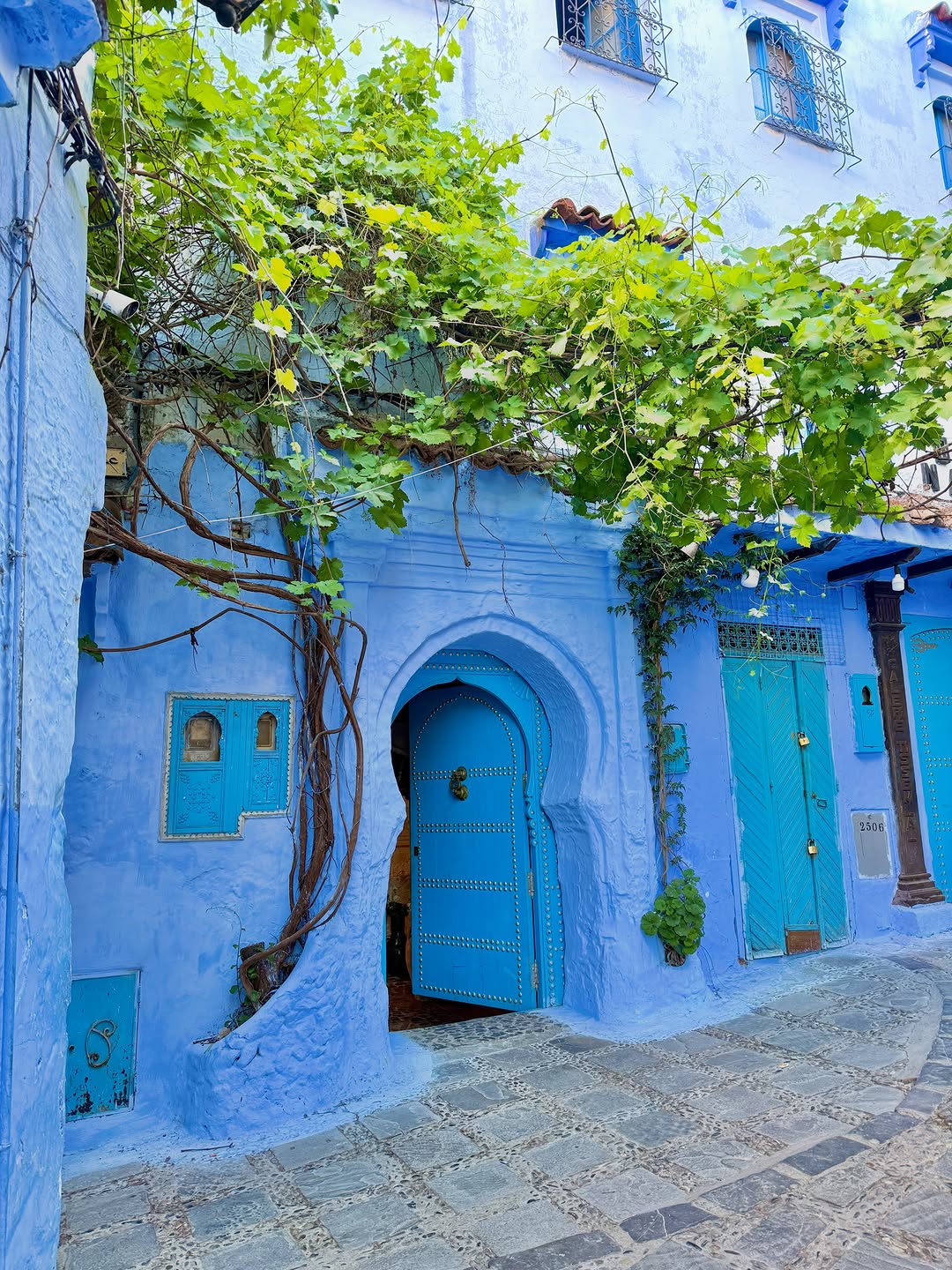 Traditional arched blue door with grapevines in the Chefchaouen medina