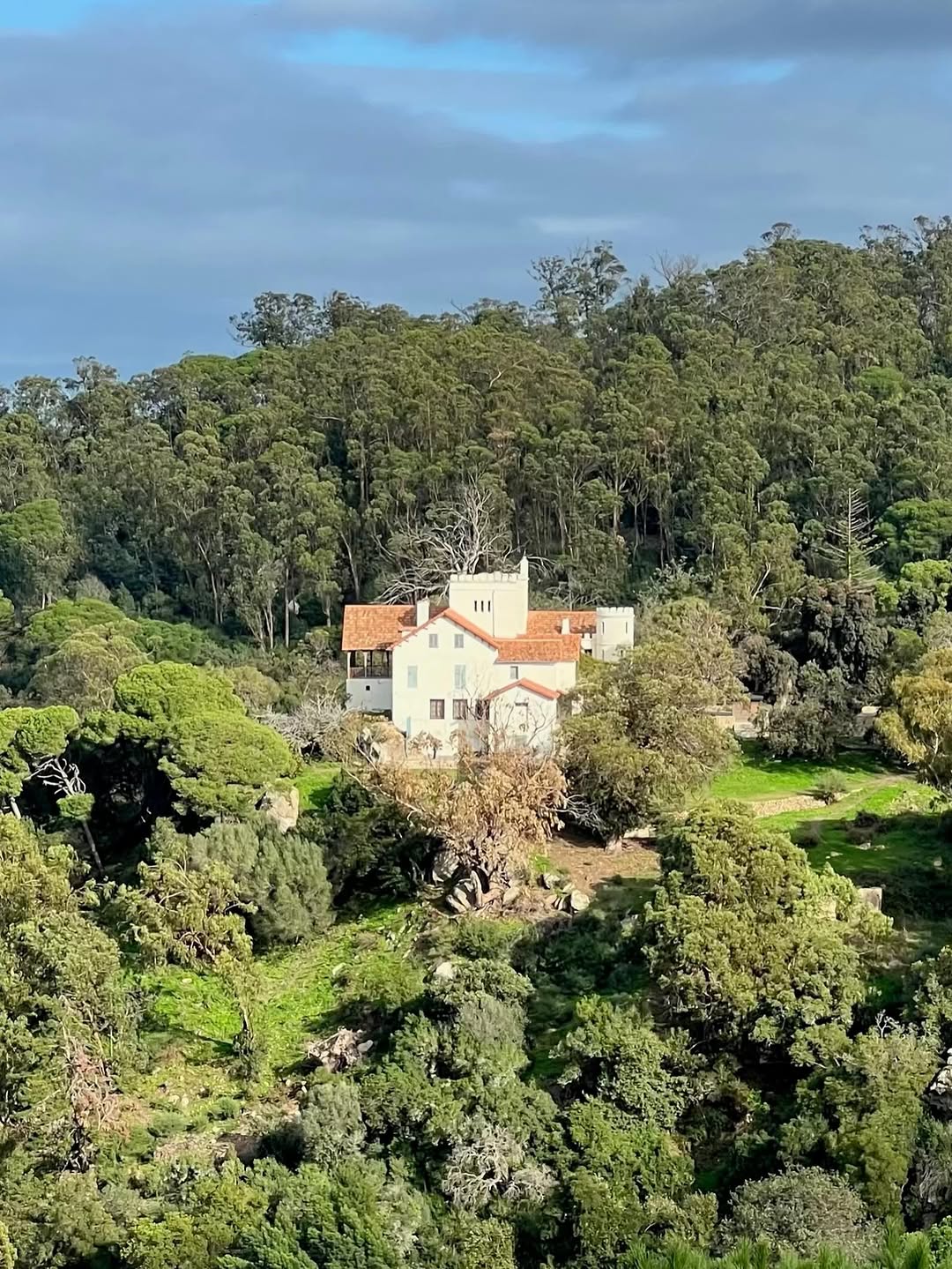 Tangier — perdicaris villa rmilat forest Tangier — perdicaris villa rmilat forest
