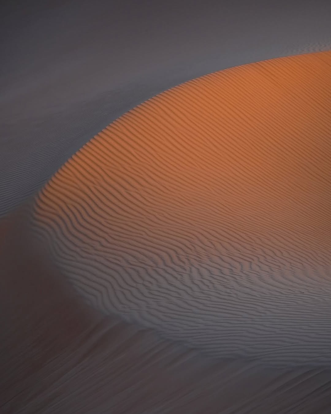 Sand Sculpted by Wind Wind-carved orange and grey sand ripples on Erg Chebbi