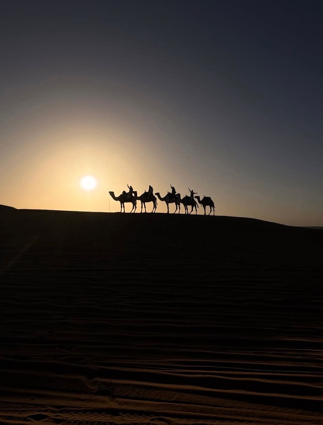 Camel caravan at sunset in the Merzouga Sahara dunes, Morocco