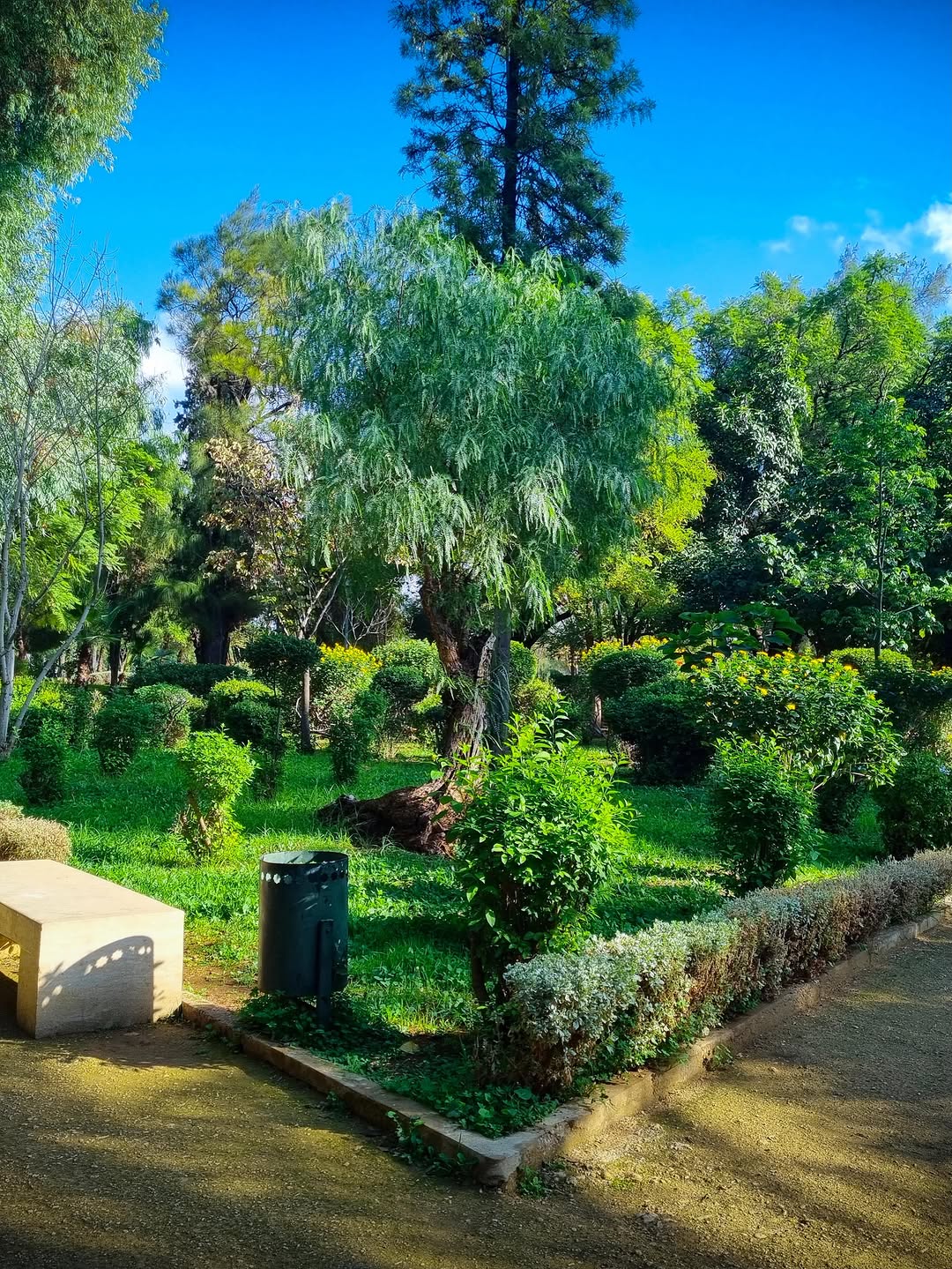 Garden Bench Stone bench among flowers in a Fes public garden