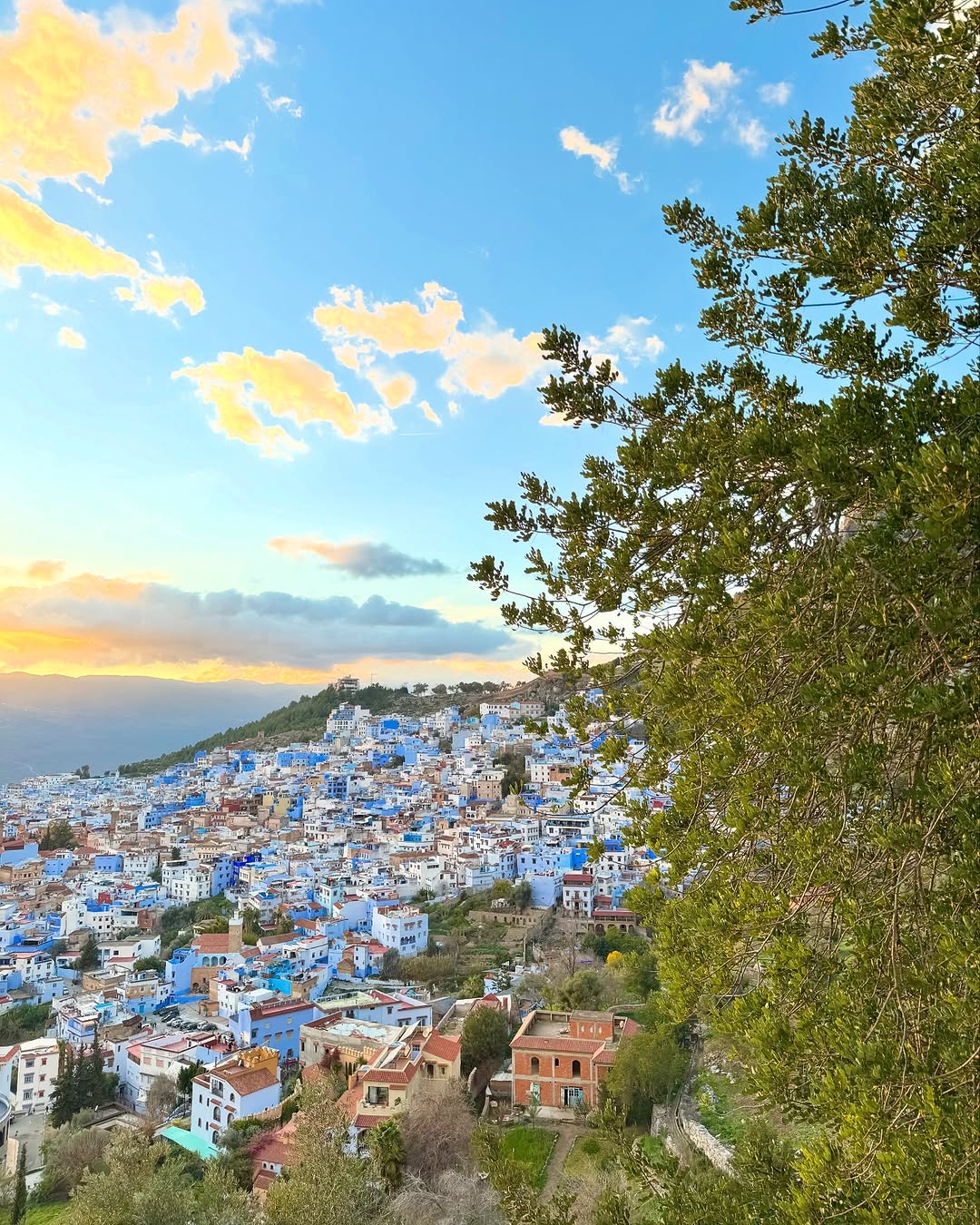 Chefchaouen hillside medina at golden hour with Rif Mountains