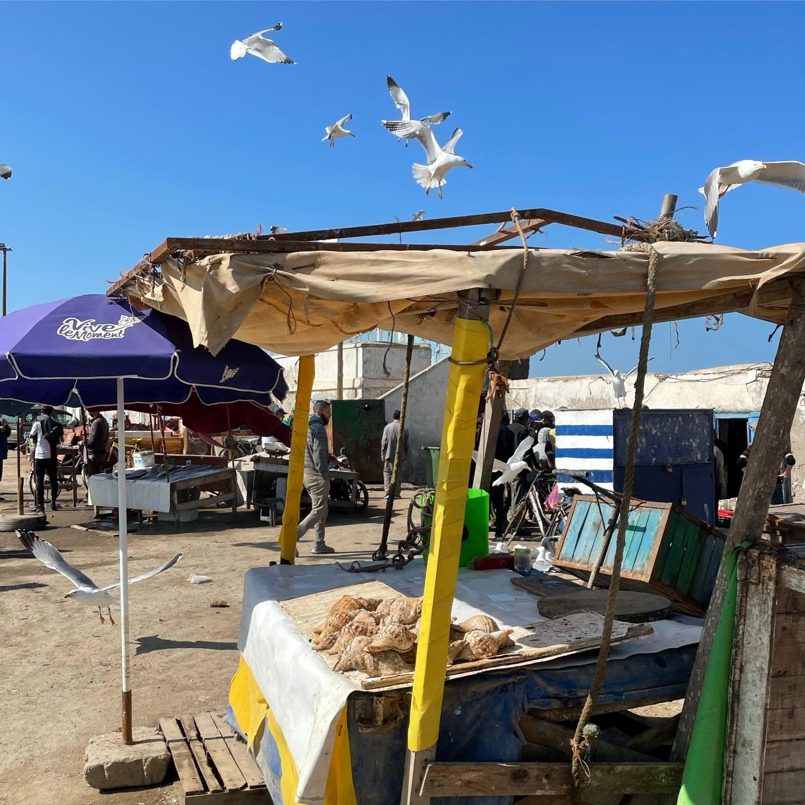 marrakech-taxi-transfert