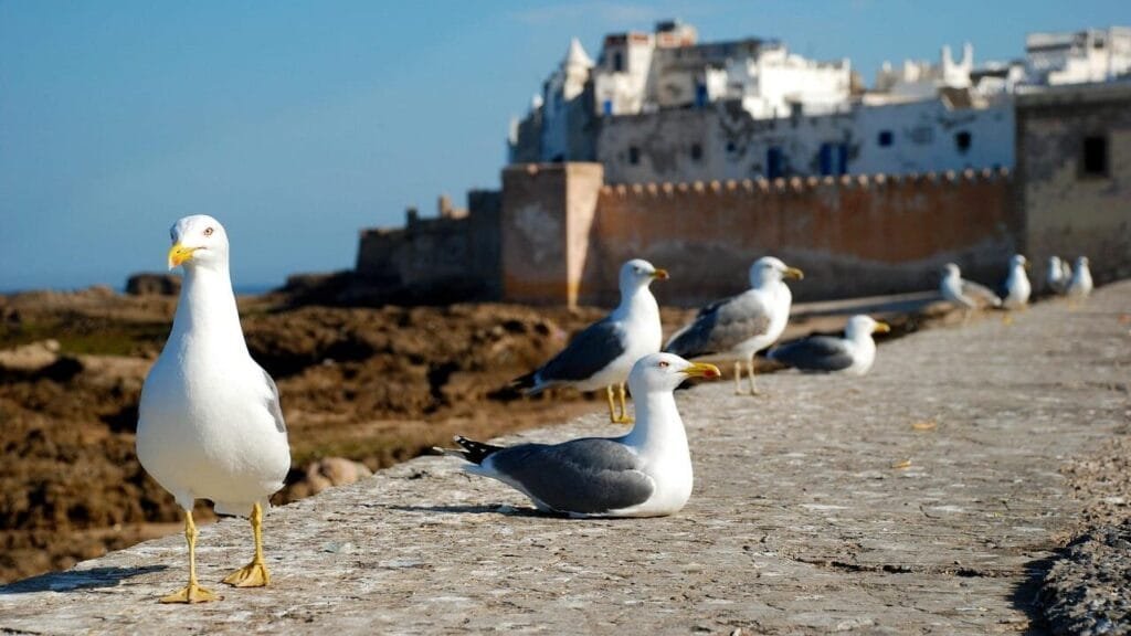 cropped g75c69a7511b6252e68096d9c18c01d93e3d85fb860ba4341c489a04dec318265cf975c5fb25430c0830c437e507130ced5cb71d52178be415f25a328818452cc 1280 1953633.jpg