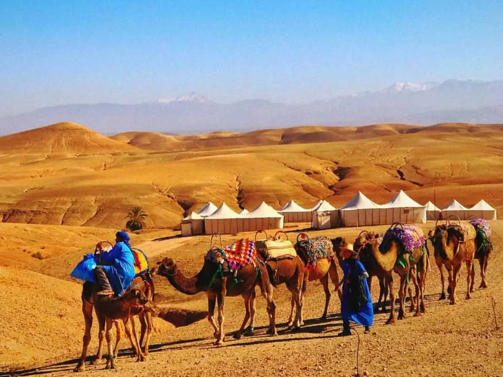 promenade chameau agafay marrakech 1