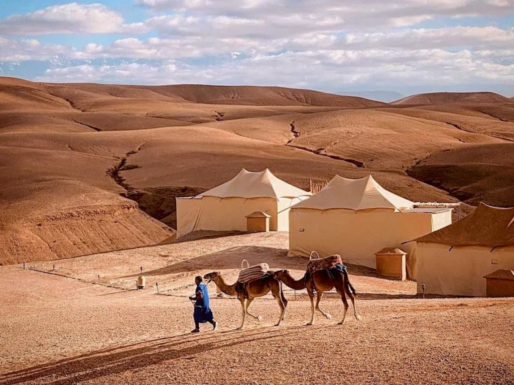 agafay camel ride 1