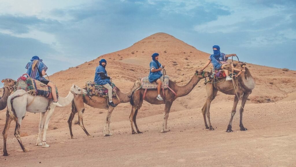 agafay desert camel ride and dinner and show kmj8i